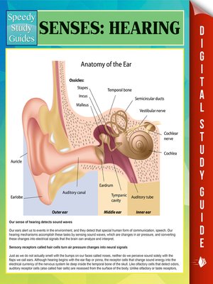 cover image of Senses (Hearing)